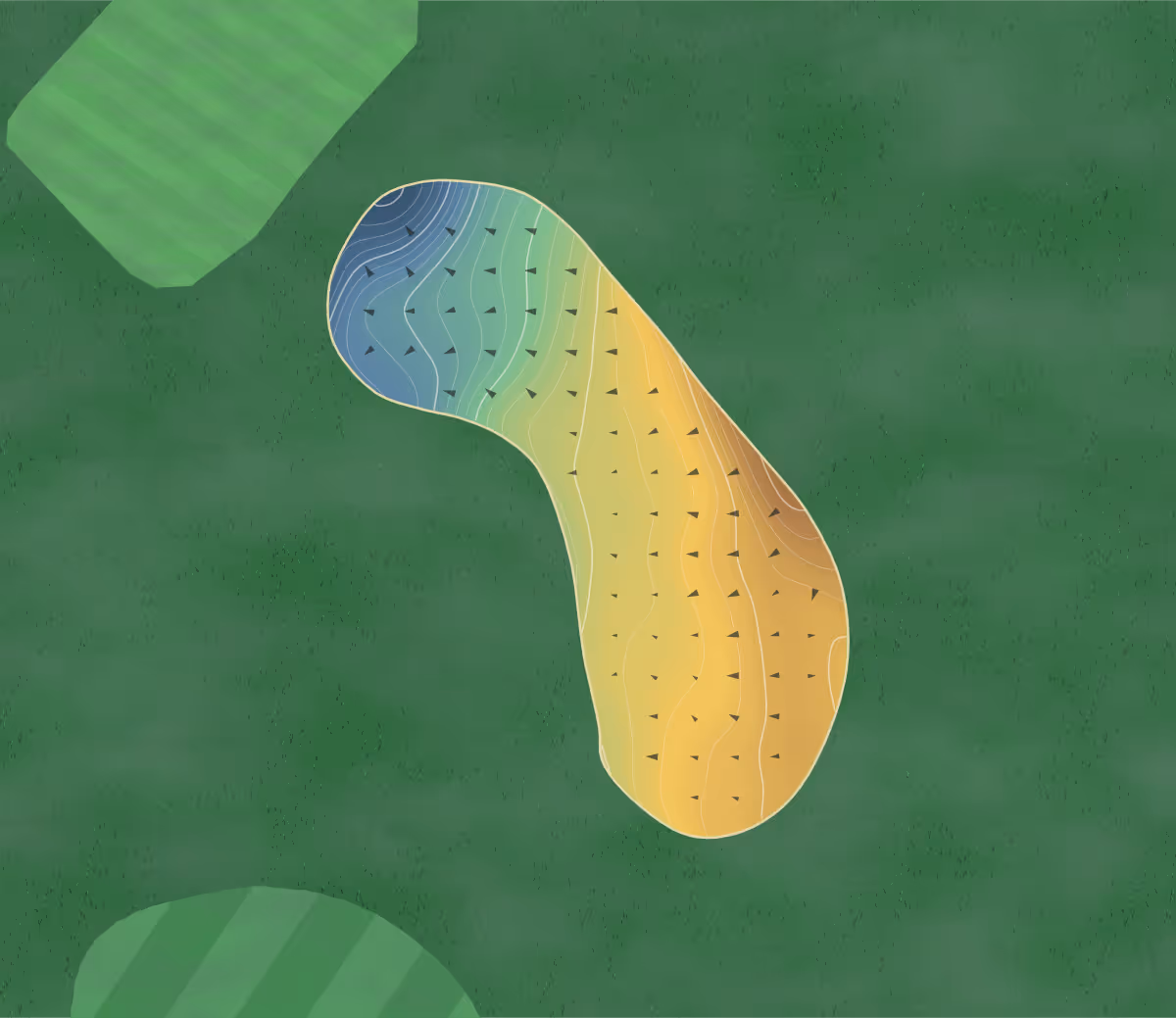 Green contour map of Flagstaff Hill in Flagstaff Hill, Australia — 190 elevation contours at a 8-centimeter interval with fall-line arrows, traced from 1-meter lidar