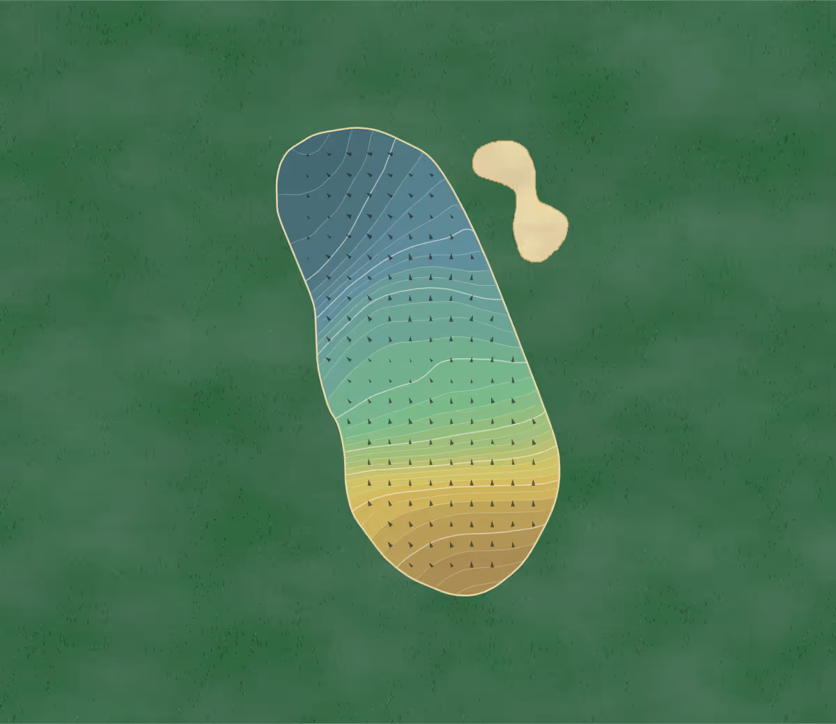 Green contour map of Flamborough Head in Bridlington, England — 242 elevation contours at a 8-centimeter interval with fall-line arrows, traced from 1-meter lidar