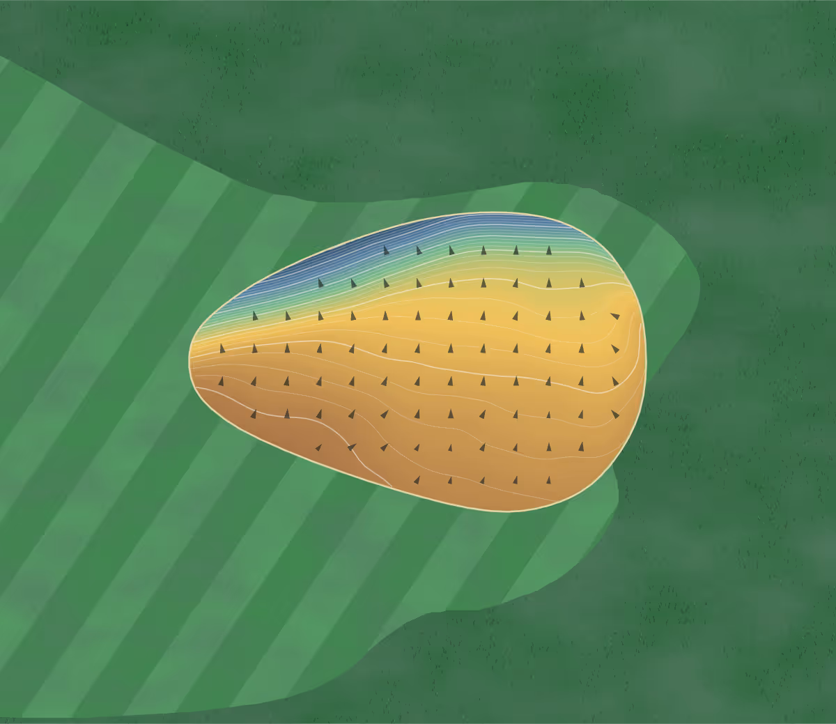 Green contour map of Flint Golf Club in Flint, Wales: 91 elevation contours at a 8-centimeter interval with fall-line arrows, traced from 1-meter lidar
