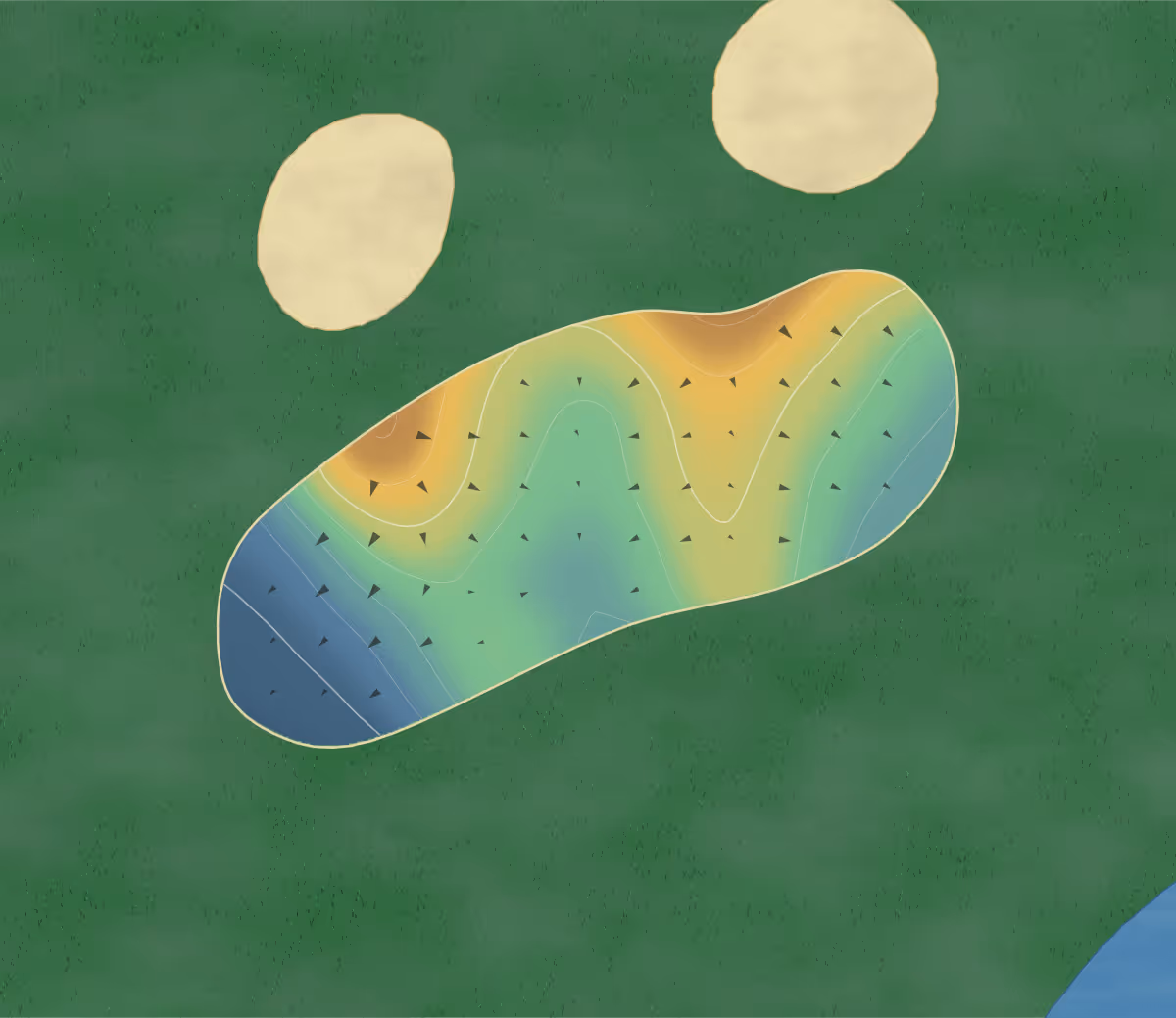 Green contour map of Flint River in Albany, Georgia: 134 elevation contours at a 3-inch interval with fall-line arrows, traced from 1-meter lidar