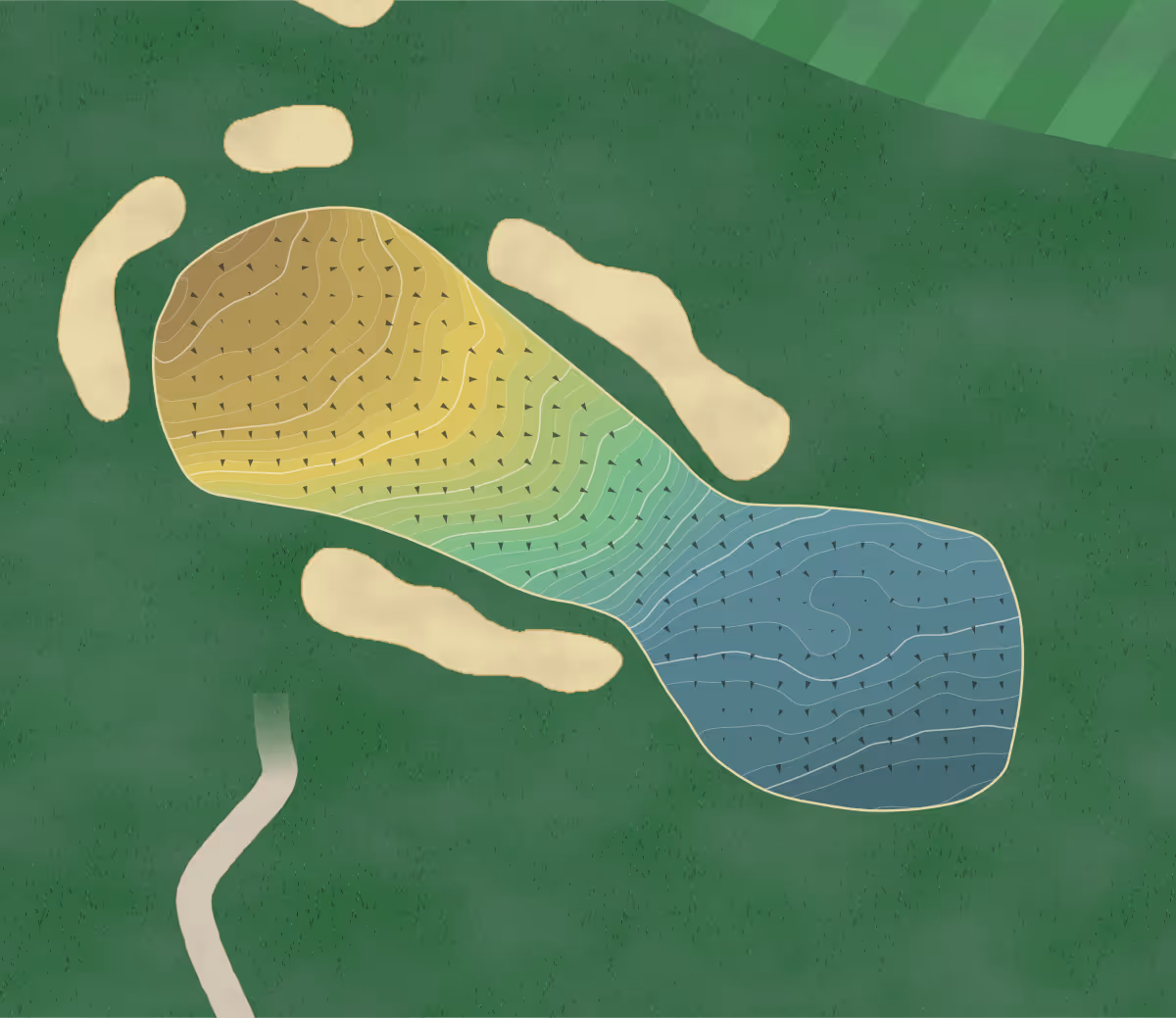 Green contour map of Fogg Brook in Palmyra, Maine — 182 elevation contours at a 3-inch interval with fall-line arrows, traced from 1-meter lidar