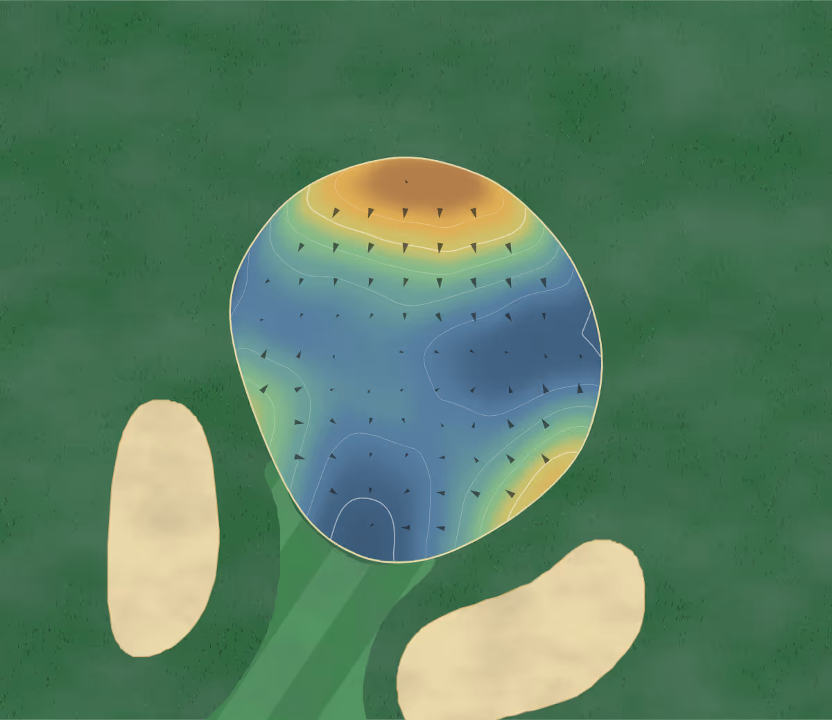 Green contour map of Forbes Public in Topeka, Kansas: 67 elevation contours at a 3-inch interval with fall-line arrows, traced from 1-meter lidar
