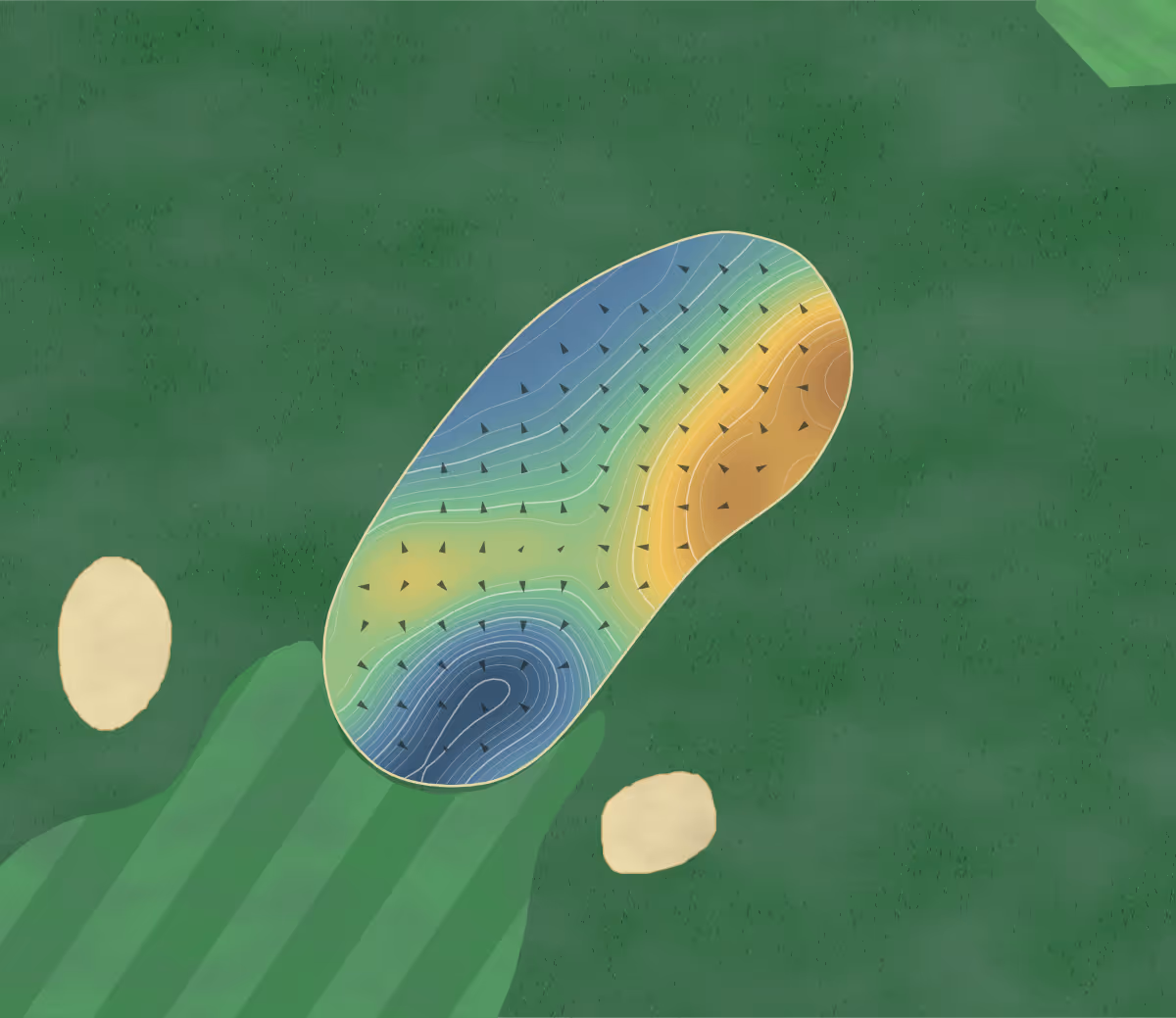 Green contour map of Foregolf in Chester, United Kingdom: 68 elevation contours at a 8-centimeter interval with fall-line arrows, traced from 1-meter lidar