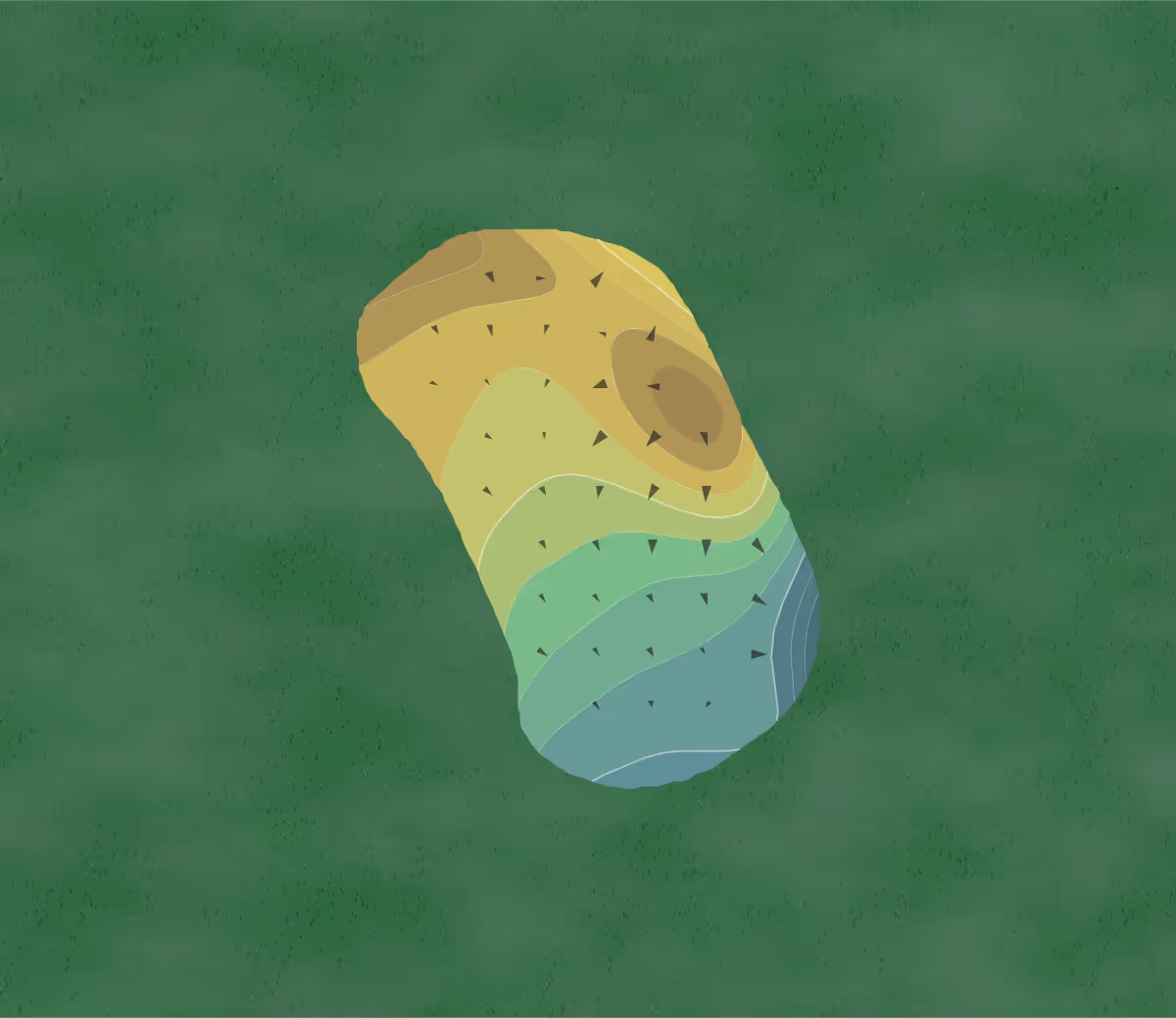 Green contour map of Forest City Municipal in Forest City, North Carolina — 22 elevation contours at a 3-inch interval with fall-line arrows, traced from 1-meter lidar