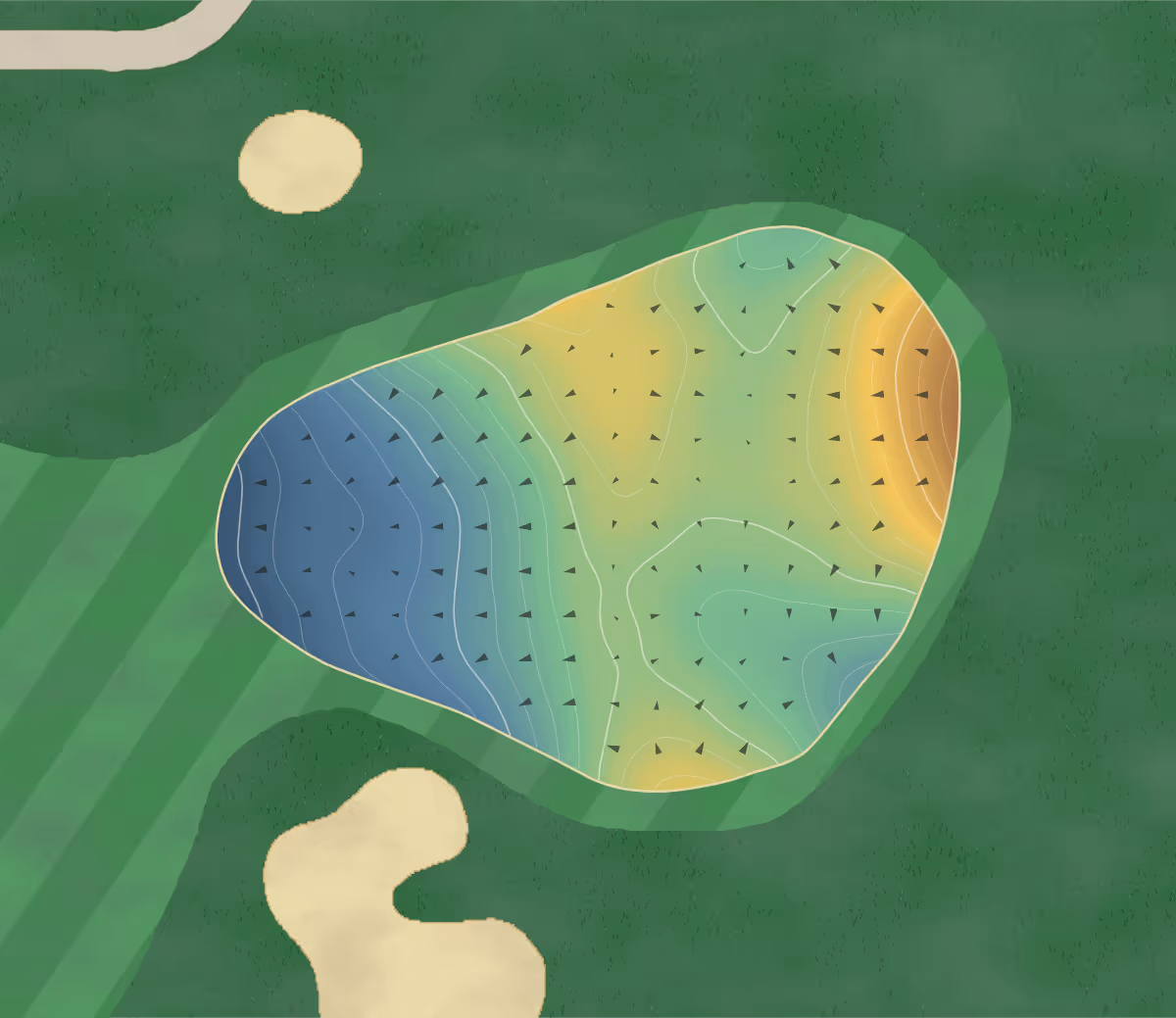 Green contour map of Forest City in London, Canada: 181 elevation contours at a 8-centimeter interval with fall-line arrows, traced from 1-meter lidar