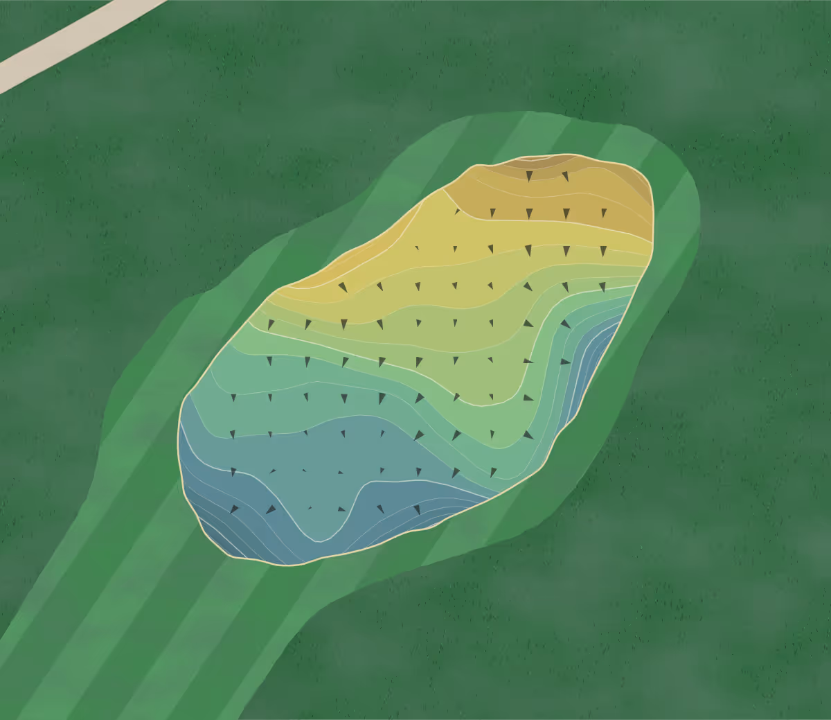 Green contour map of Forest Heights in Statesboro, Georgia — 251 elevation contours at a 3-inch interval with fall-line arrows, traced from 1-meter lidar