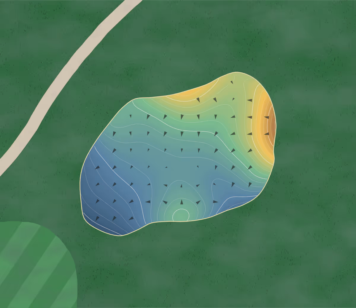 Green contour map of Forest Hill in Drummonds, Tennessee: 264 elevation contours at a 3-inch interval with fall-line arrows, traced from 1-meter lidar