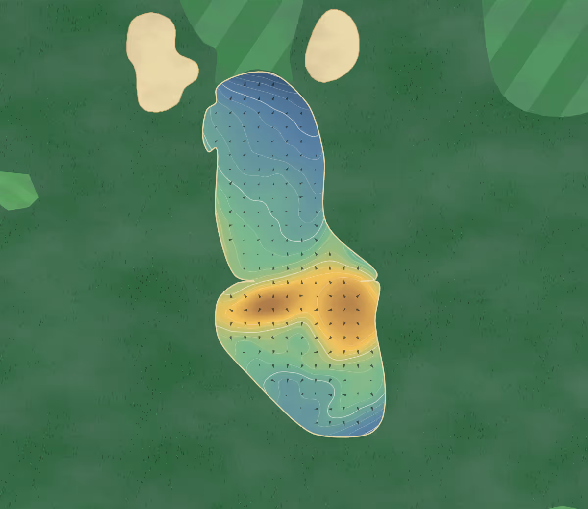 Green contour map of Forest Hills in Bloomfield, New Jersey: 270 elevation contours at a 3-inch interval with fall-line arrows, traced from 1-meter lidar