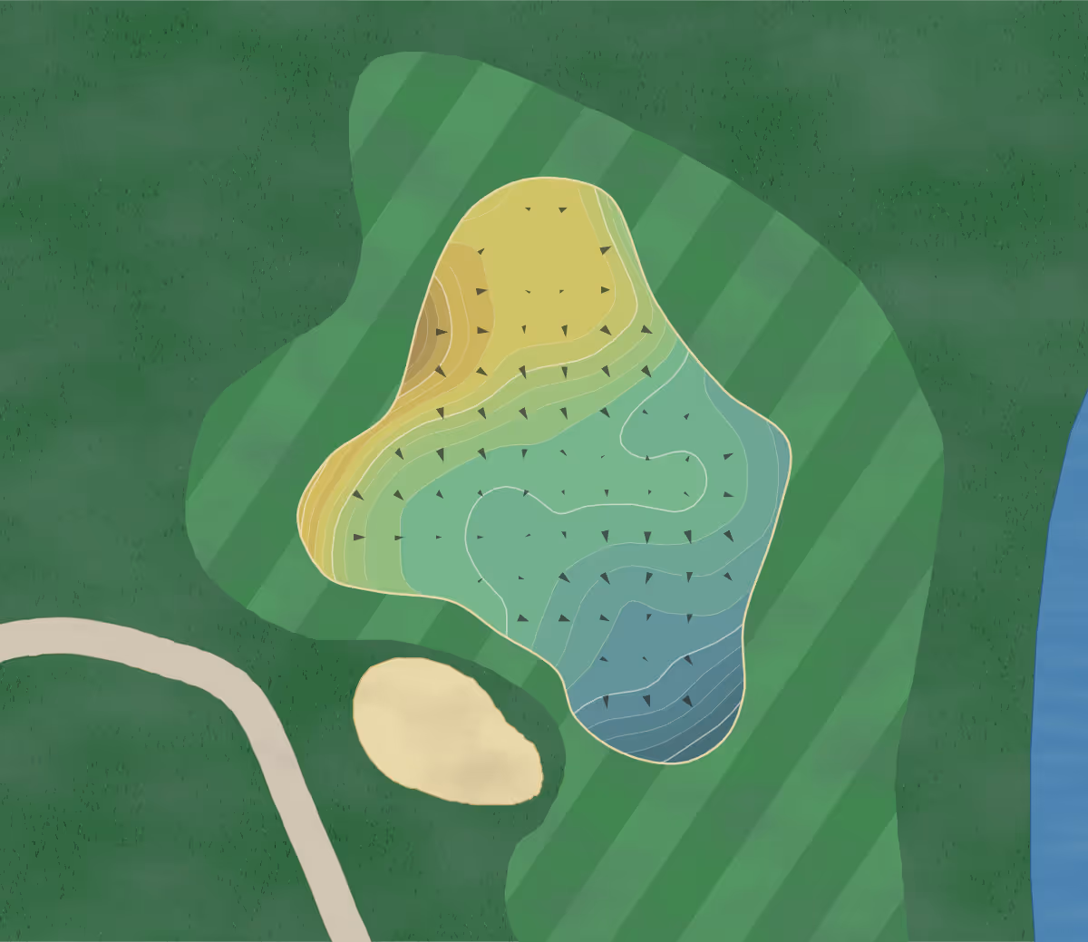 Green contour map of Forest Hills in Augusta, Georgia — 237 elevation contours at a 3-inch interval with fall-line arrows, traced from 1-meter lidar