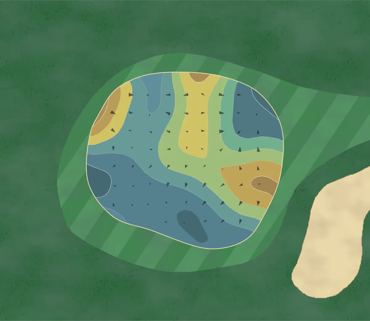 Green contour map of Forest Lake in Ocoee, Florida — 144 elevation contours at a 3-inch interval with fall-line arrows, traced from 1-meter lidar