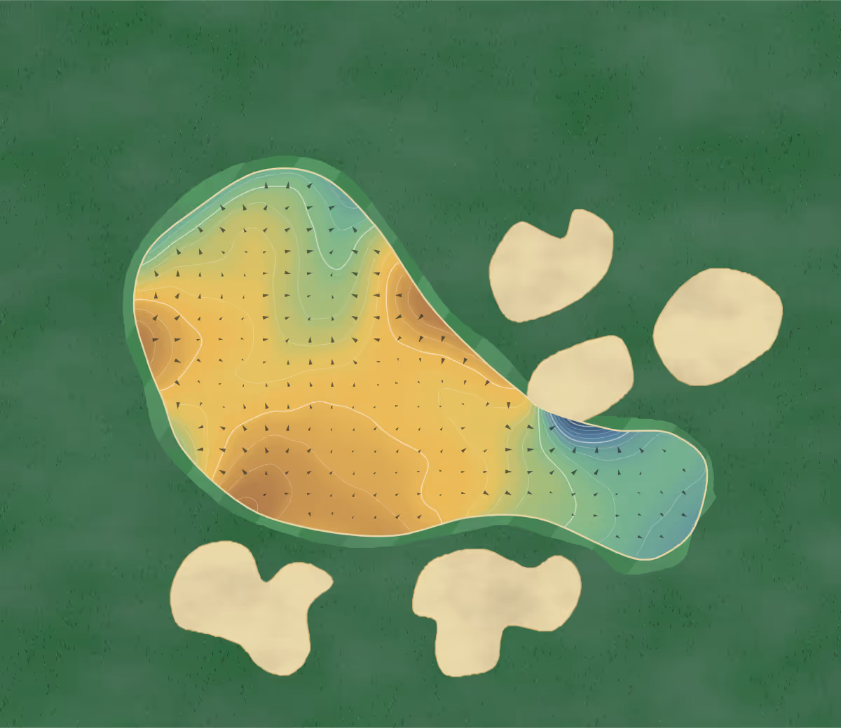 Green contour map of Forest of Arden in Meriden, United Kingdom — 202 elevation contours at a 8-centimeter interval with fall-line arrows, traced from 1-meter lidar