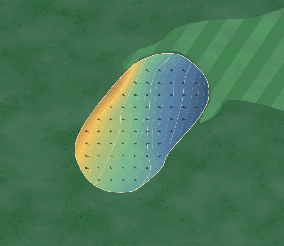 Green contour map of Forest Park in Chatham, Virginia: 227 elevation contours at a 3-inch interval with fall-line arrows, traced from 1-meter lidar