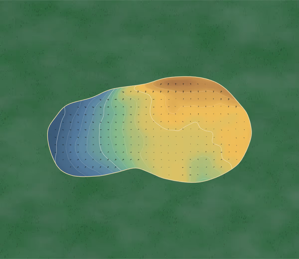 Green contour map of Forest Park in York, England: 118 elevation contours at a 8-centimeter interval with fall-line arrows, traced from 1-meter lidar