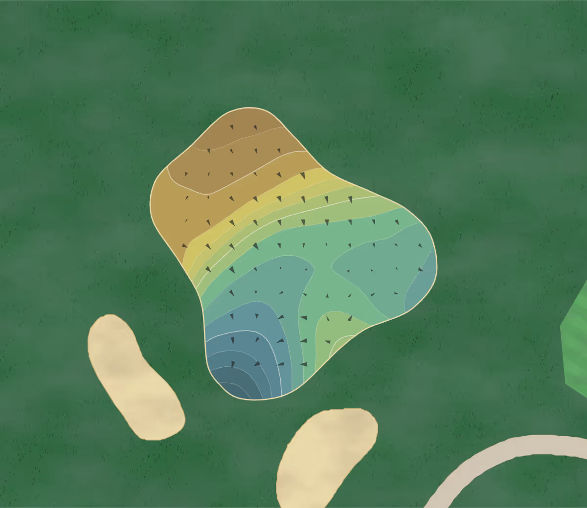 Green contour map of Forest Park in Baltimore, Maryland — 213 elevation contours at a 3-inch interval with fall-line arrows, traced from 1-meter lidar