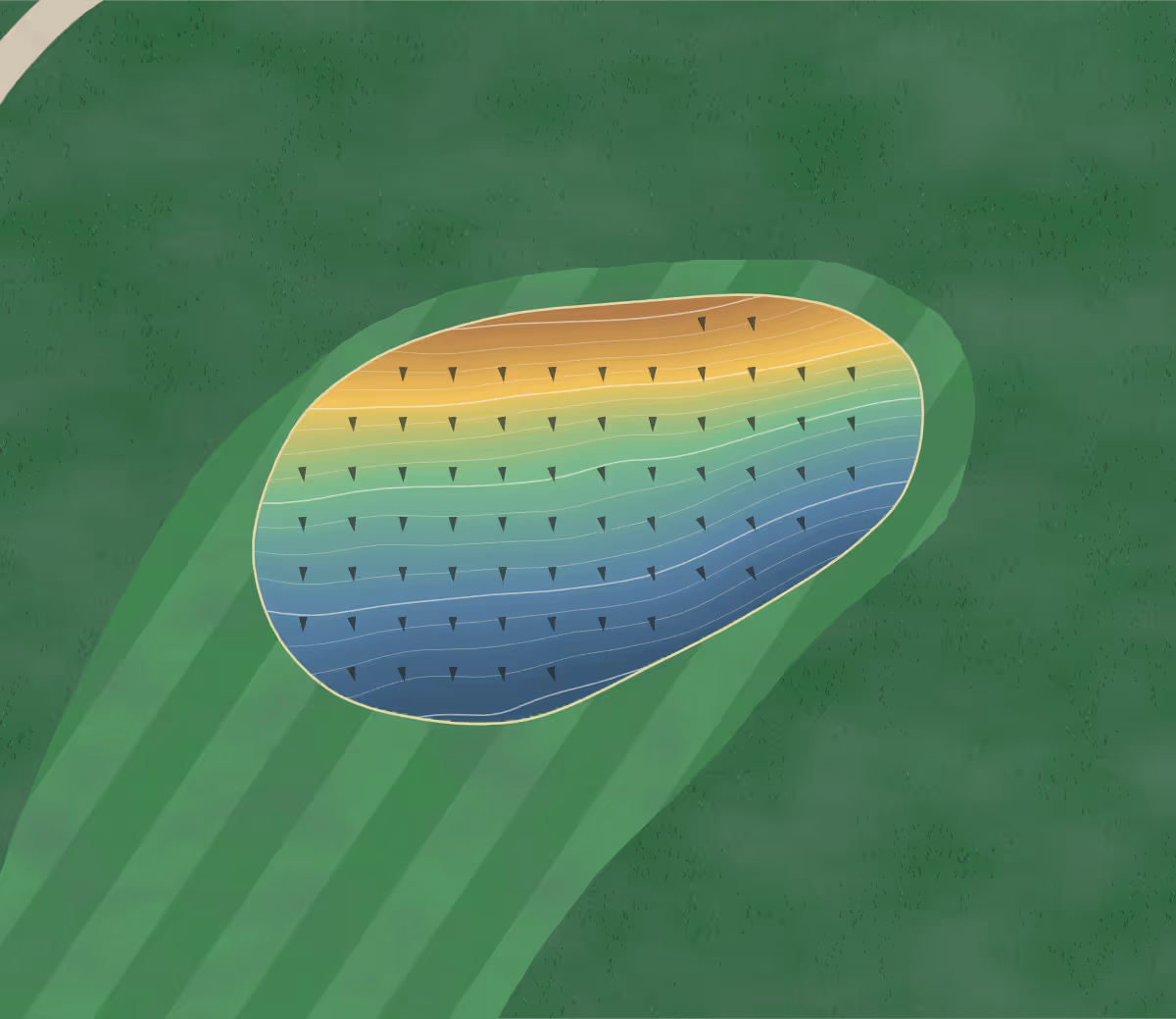 Green contour map of Forest Ridge in Saugeen Shores, Canada — 155 elevation contours at a 8-centimeter interval with fall-line arrows, traced from 1-meter lidar