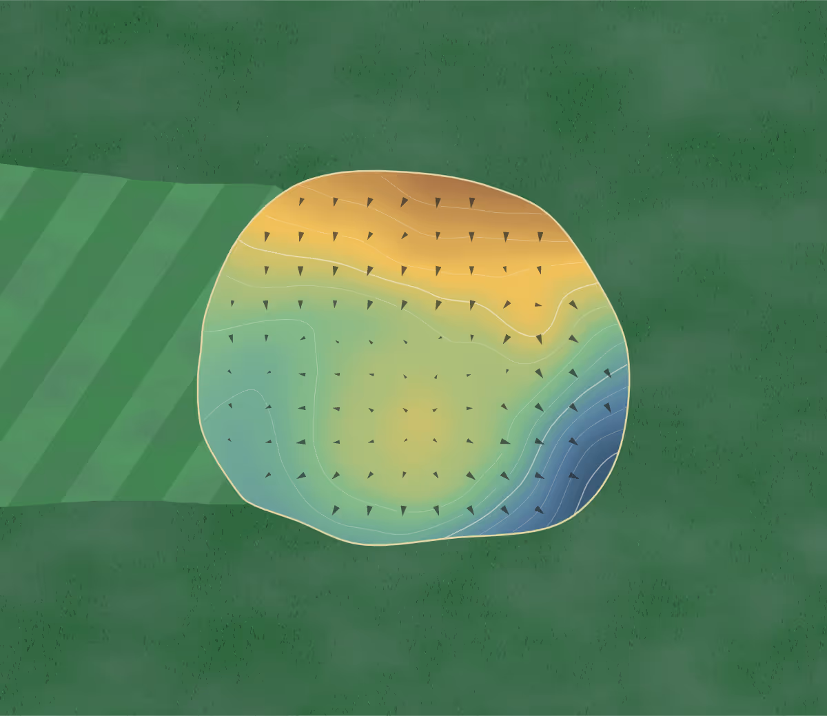 Green contour map of Forman Gc in Forman, North Dakota — 62 elevation contours at a 3-inch interval with fall-line arrows, traced from 1-meter lidar