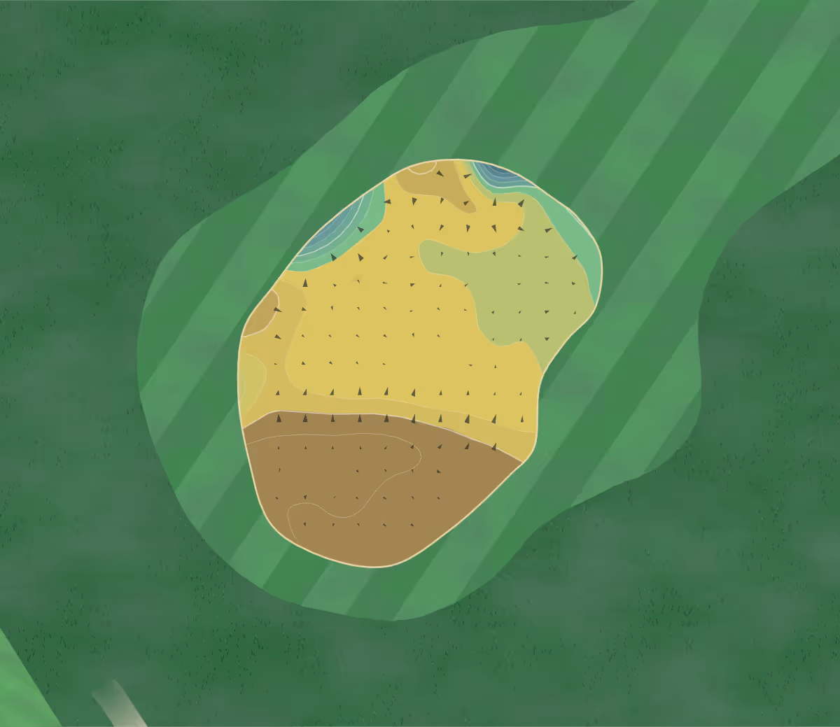 Green contour map of Formby Hall in Southport, England — 150 elevation contours at a 8-centimeter interval with fall-line arrows, traced from 1-meter lidar