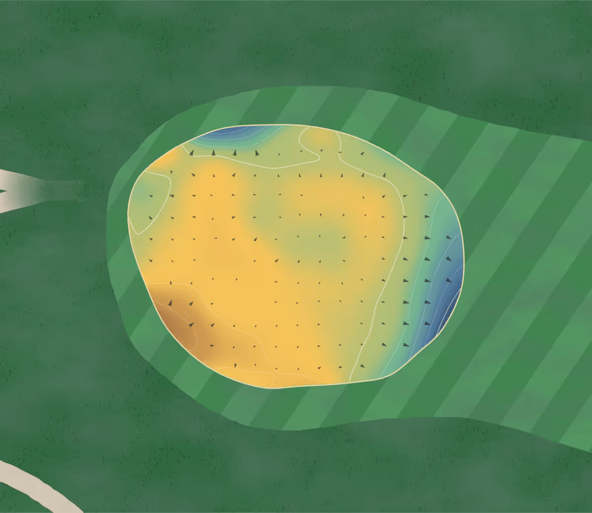 Green contour map of Formby Ladies in Liverpool, England: 106 elevation contours at a 8-centimeter interval with fall-line arrows, traced from 1-meter lidar