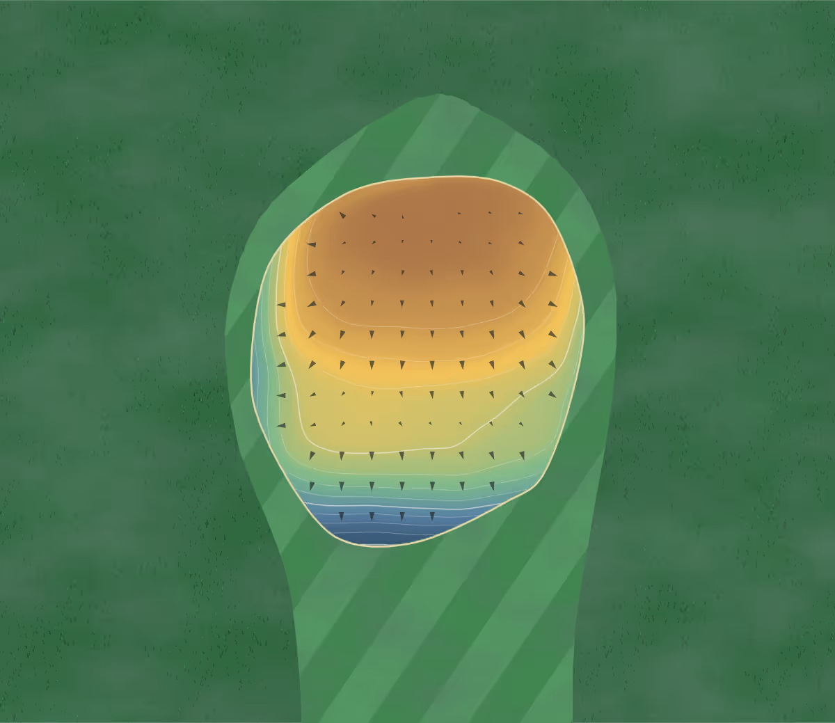 Green contour map of Fort In View in Gibbons, Canada: 153 elevation contours at a 8-centimeter interval with fall-line arrows, traced from 1-meter lidar