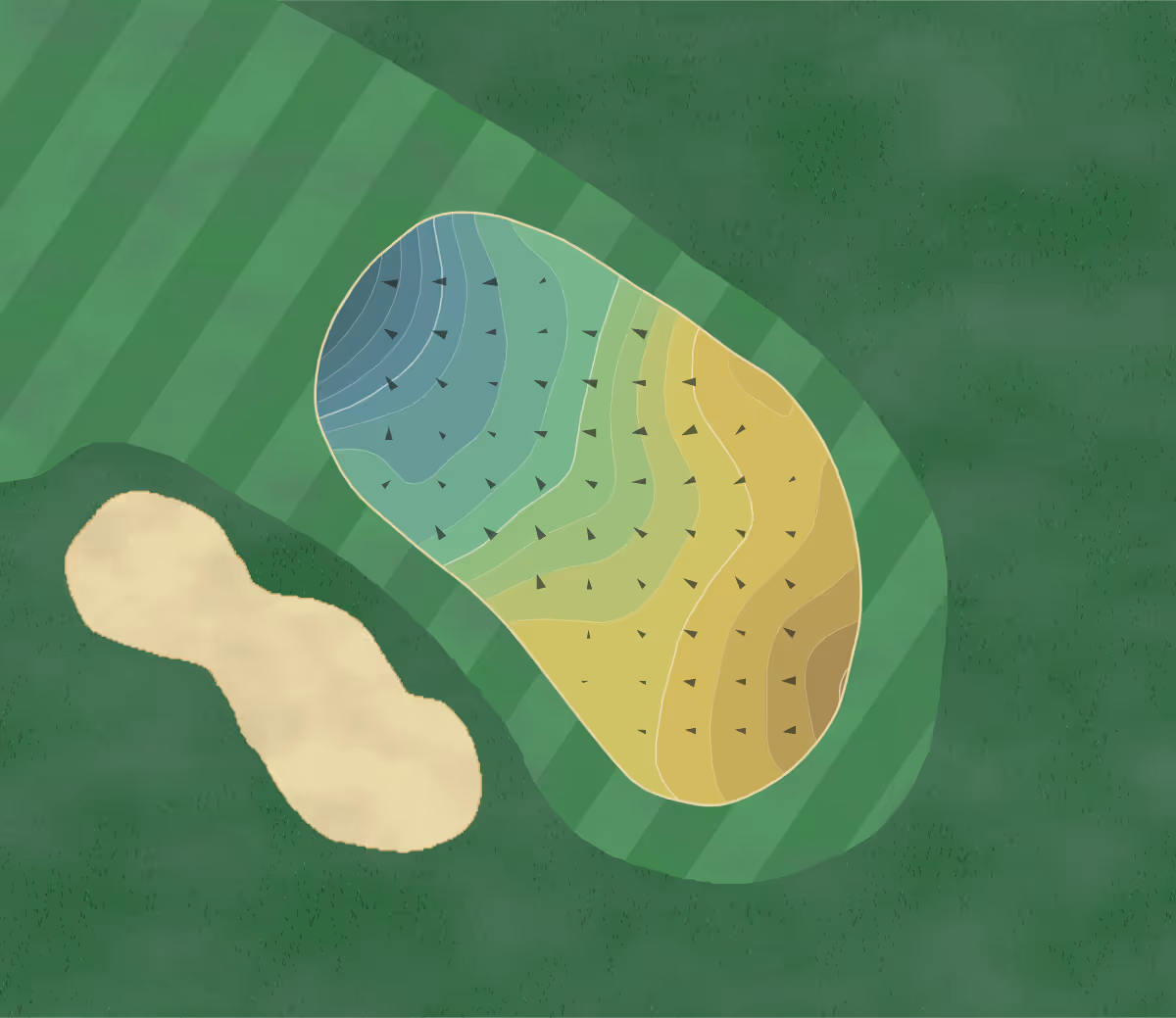 Green contour map of Fort Jackson in Fort Jackson, South Carolina — 250 elevation contours at a 3-inch interval with fall-line arrows, traced from 1-meter lidar