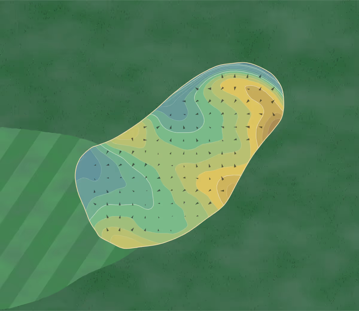 Green contour map of The Fortress in Frankenmuth, Michigan — 255 elevation contours at a 3-inch interval with fall-line arrows, traced from 1-meter lidar