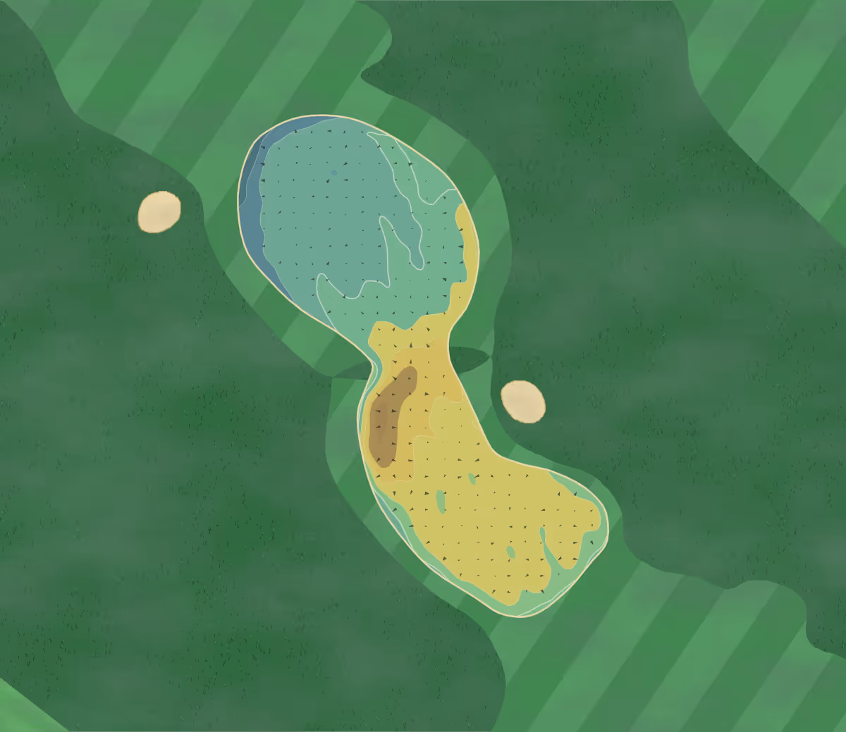 Green contour map of Fortrose Rosemarkie in Fortrose, Scotland — 130 elevation contours at a 8-centimeter interval with fall-line arrows, traced from 1-meter lidar