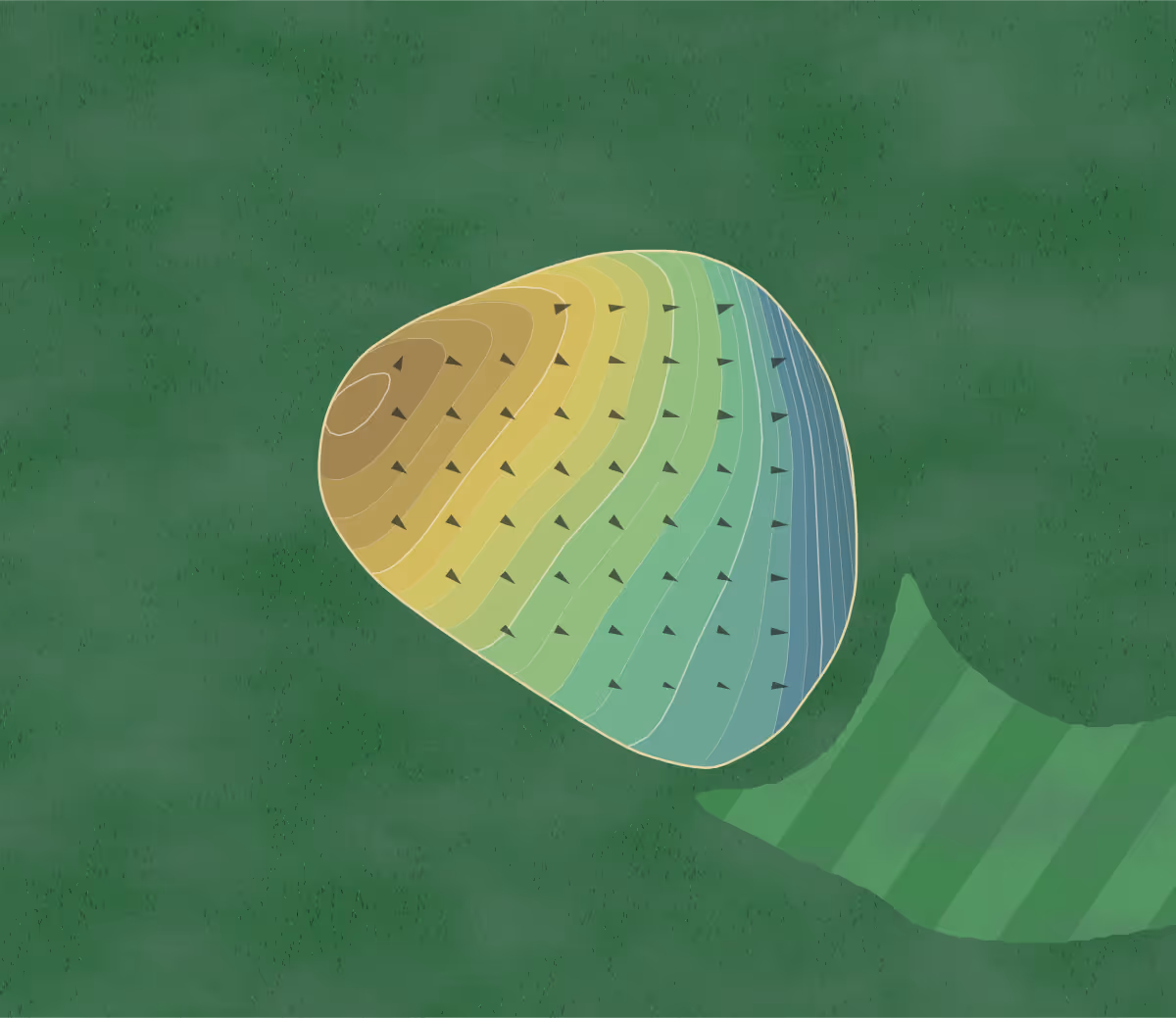 Green contour map of Foster CC in Foster, Rhode Island — 240 elevation contours at a 3-inch interval with fall-line arrows, traced from 1-meter lidar