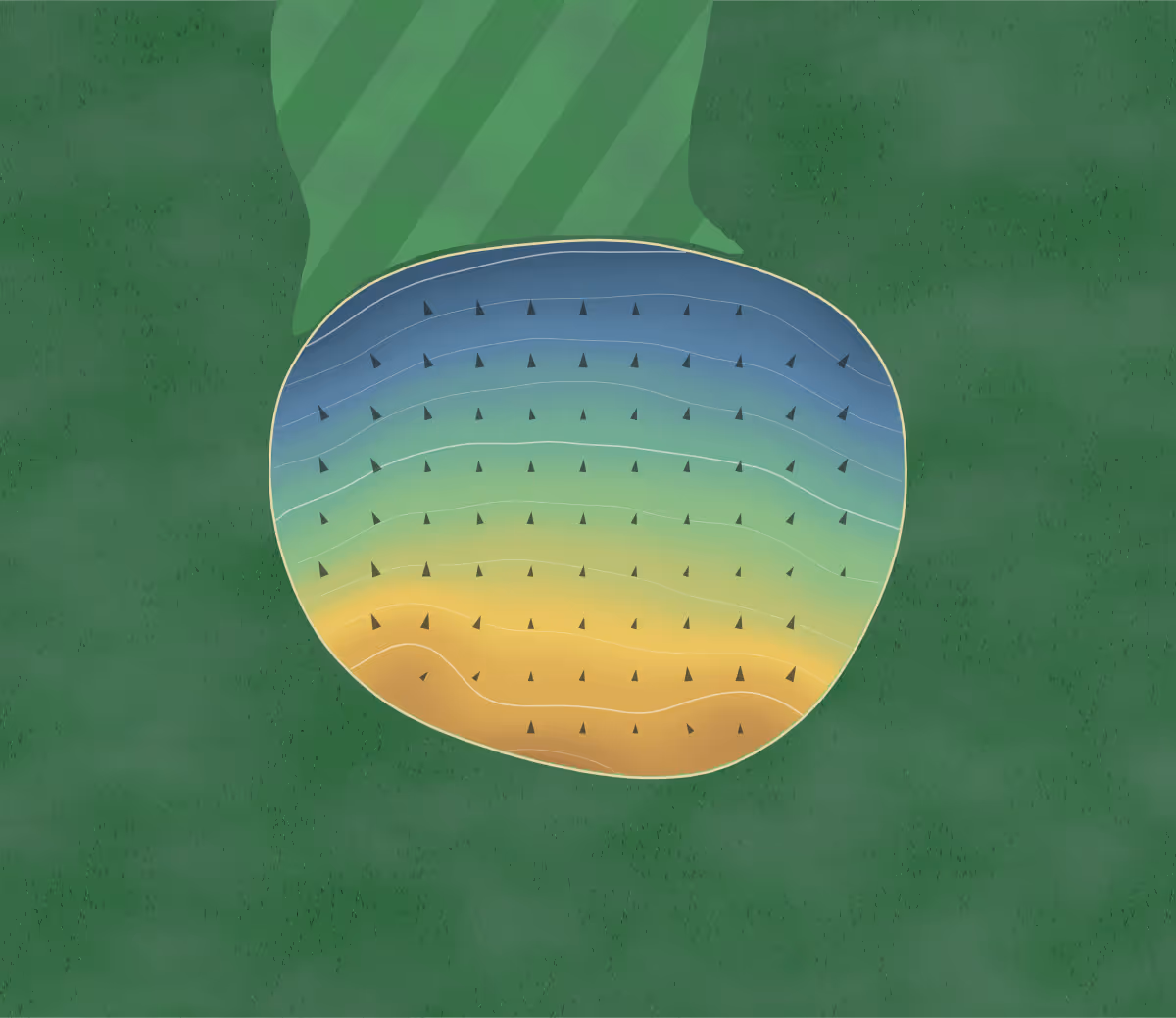 Green contour map of Foster Park in Fort Wayne, Indiana: 138 elevation contours at a 3-inch interval with fall-line arrows, traced from 1-meter lidar