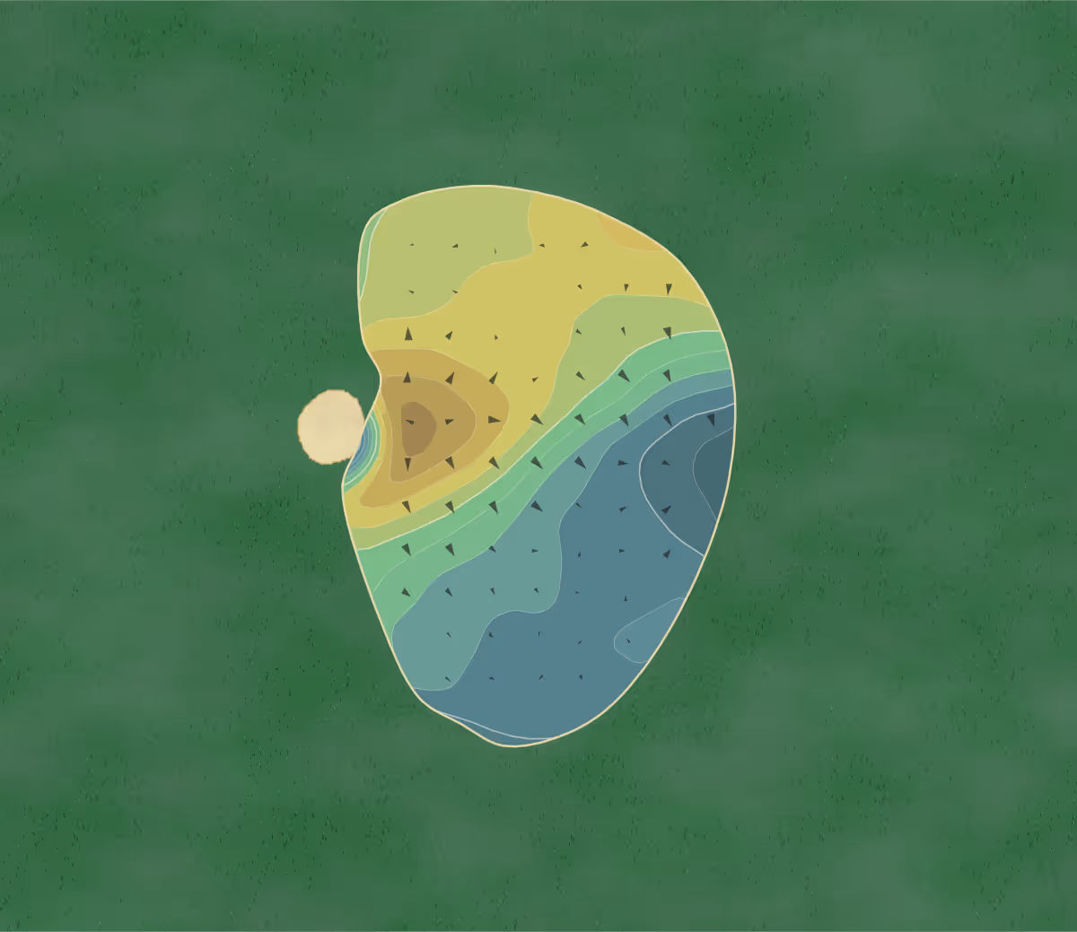 Green contour map of Founders Club in Pawleys Island, South Carolina — 183 elevation contours at a 3-inch interval with fall-line arrows, traced from 1-meter lidar