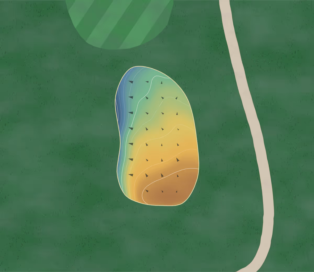 Green contour map of Fox Hills Country Club in Paragould, Arkansas — 64 elevation contours at a 3-inch interval with fall-line arrows, traced from 1-meter lidar