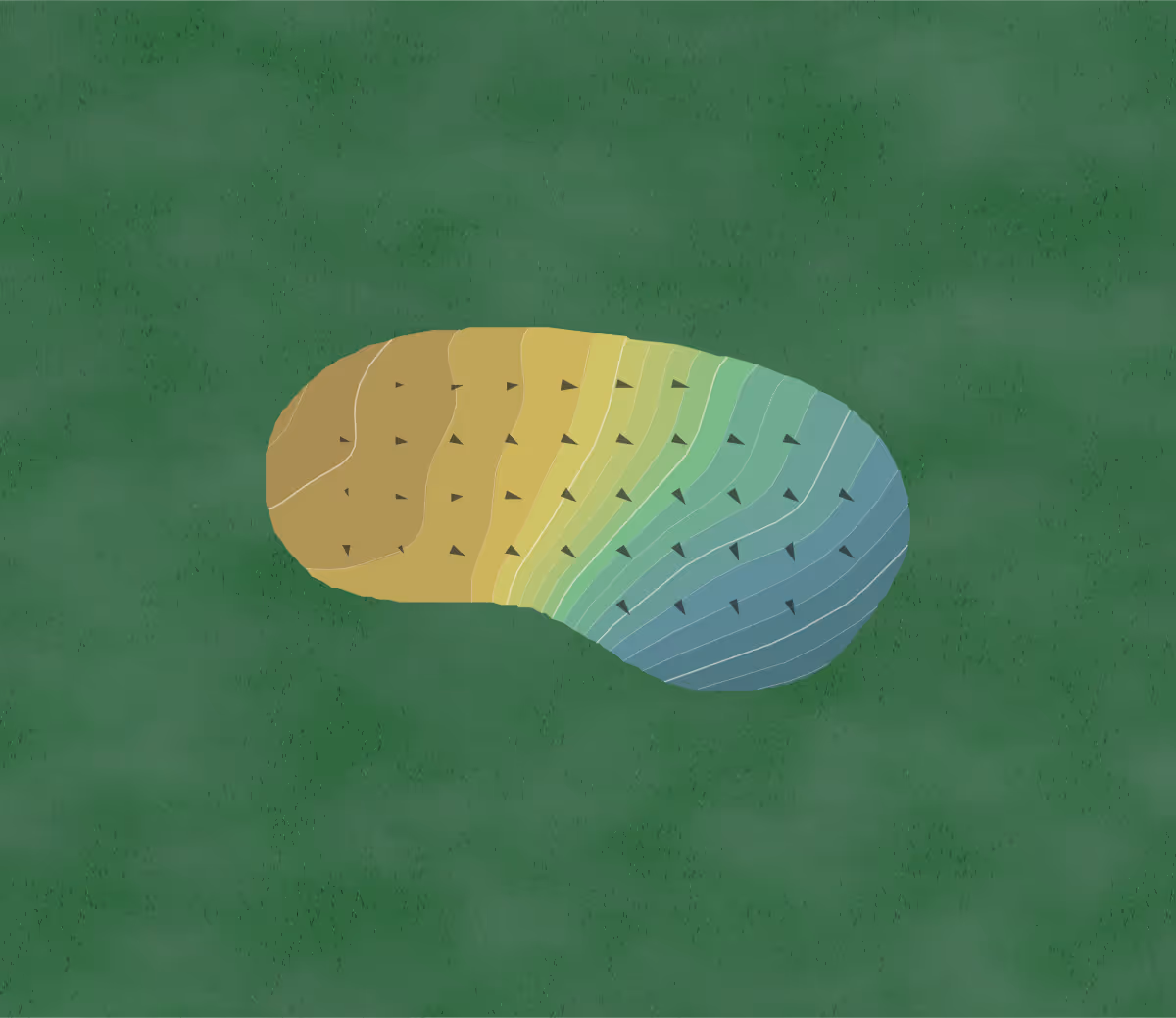 Green contour map of Fox Hollow GC in Barre Mills, Wisconsin — 184 elevation contours at a 3-inch interval with fall-line arrows, traced from 1-meter lidar