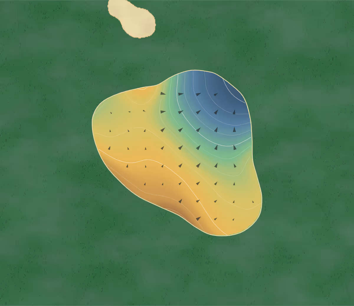 Green contour map of Fox Hollow in Trinity, Florida — 19 elevation contours at a 3-inch interval with fall-line arrows, traced from 1-meter lidar