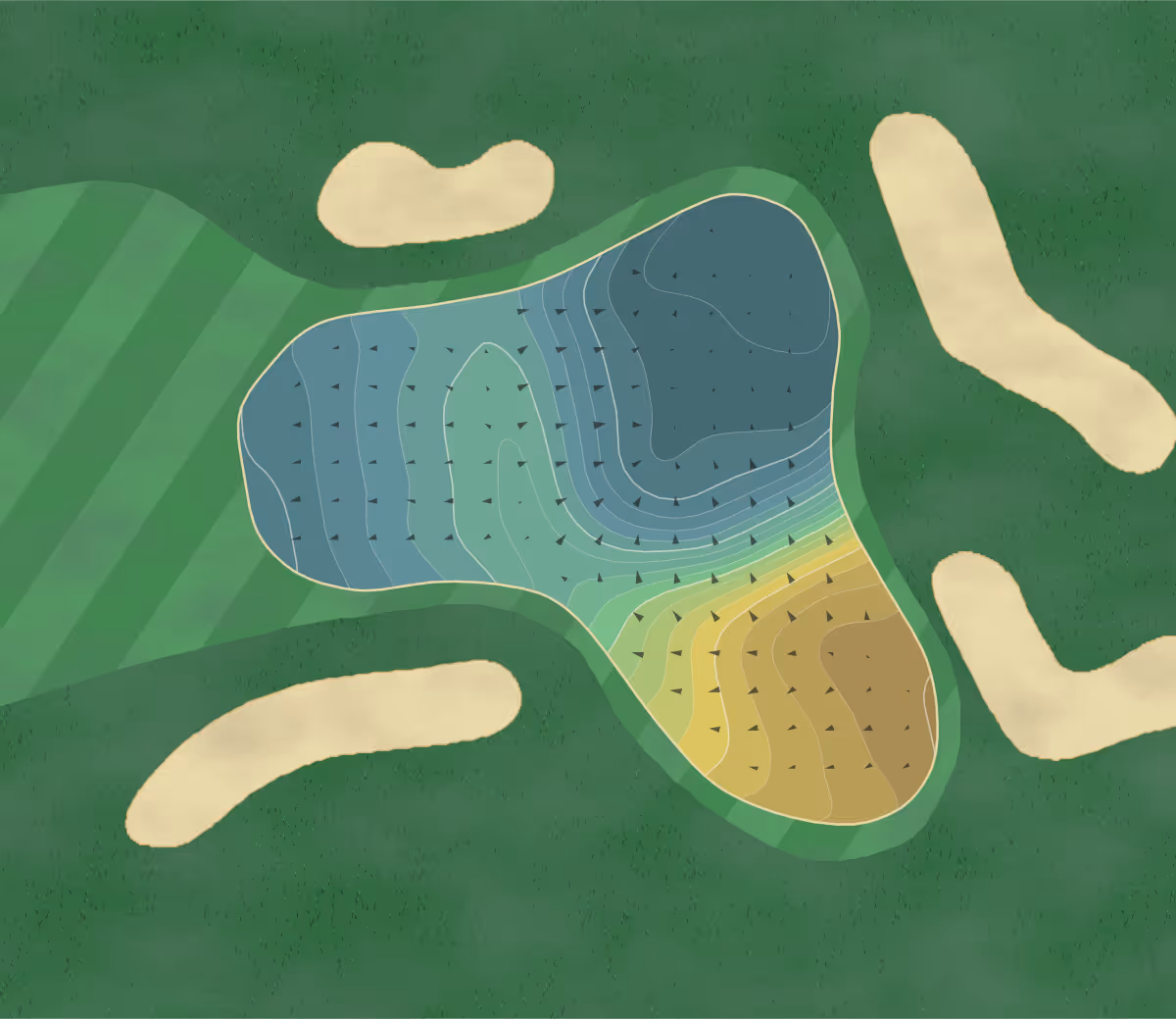 Green contour map of Fox Hollow in St. Michael, Minnesota — 243 elevation contours at a 3-inch interval with fall-line arrows, traced from 1-meter lidar