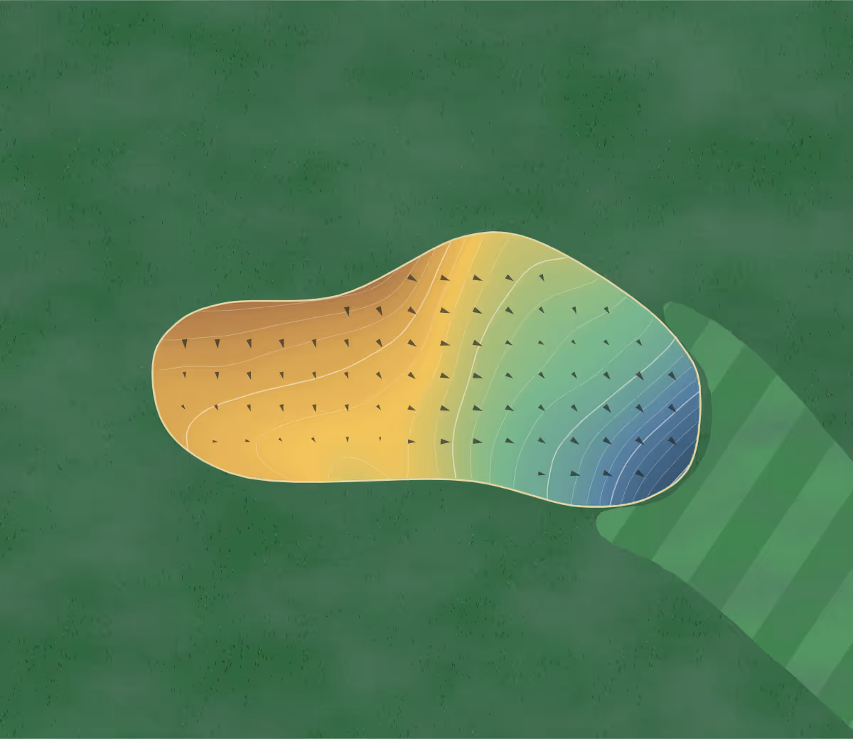 Green contour map of Fox Hollow in Lakewood, Colorado: 245 elevation contours at a 3-inch interval with fall-line arrows, traced from 1-meter lidar