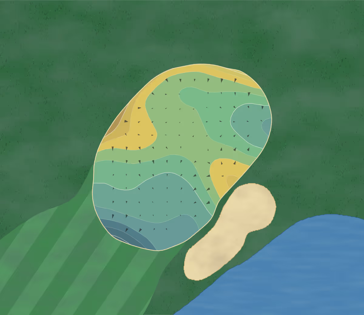 Green contour map of Fox Meadow in Medina, Ohio — 218 elevation contours at a 3-inch interval with fall-line arrows, traced from 1-meter lidar