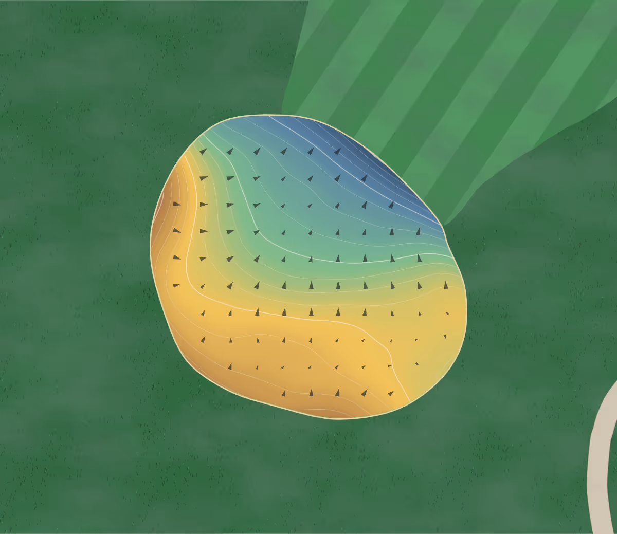 Green contour map of Fox Run in Fountain Inn, South Carolina — 109 elevation contours at a 3-inch interval with fall-line arrows, traced from 1-meter lidar
