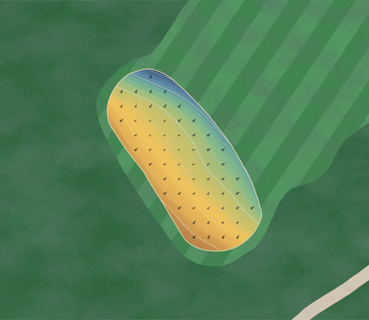 Green contour map of Fox Run in Elk Twp, Pennsylvania — 80 elevation contours at a 3-inch interval with fall-line arrows, traced from 1-meter lidar