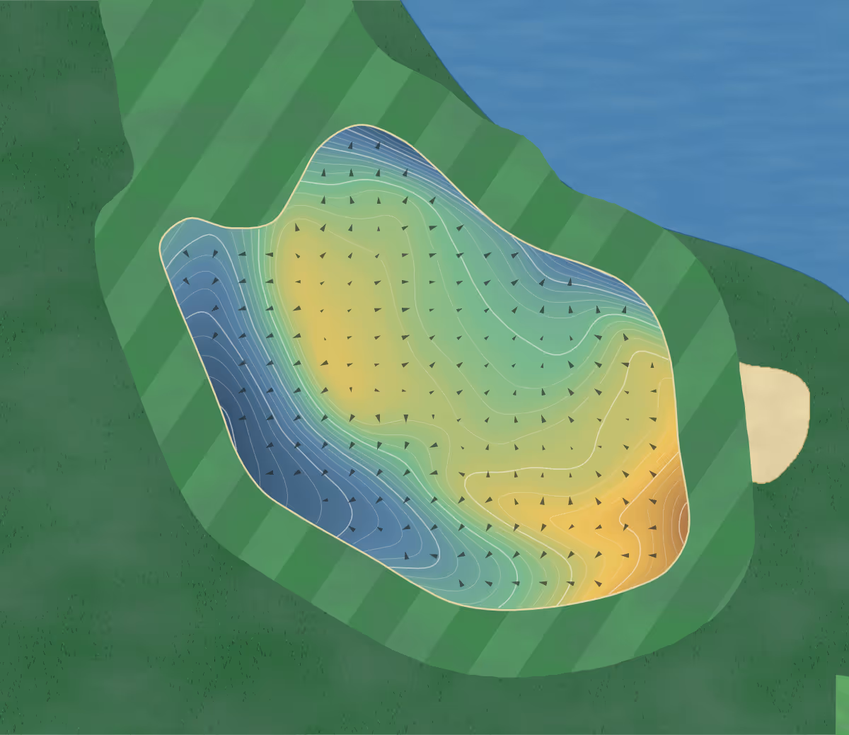 Green contour map of Foxland in Gallatin, Tennessee — 242 elevation contours at a 3-inch interval with fall-line arrows, traced from 1-meter lidar