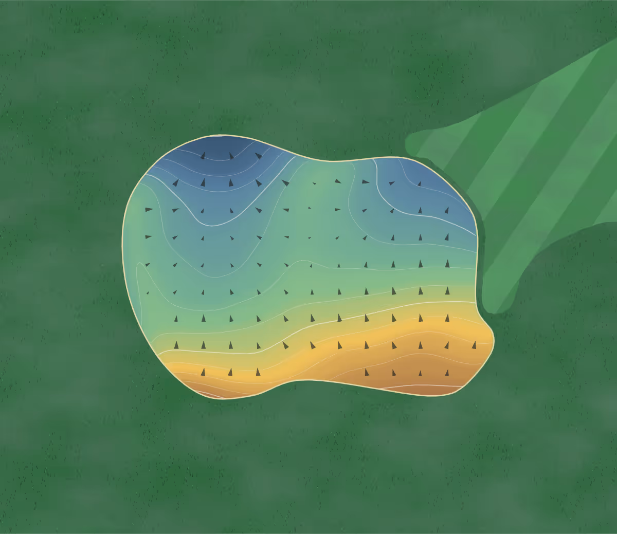 Green contour map of Foxtail in Rohnert Park, California — 186 elevation contours at a 3-inch interval with fall-line arrows, traced from 1-meter lidar
