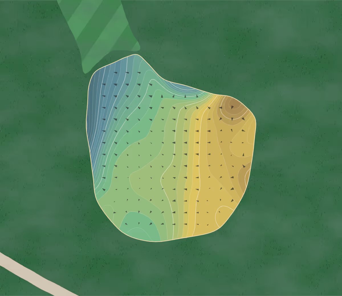 Green contour map of Fred Arbanas in Kansas City, Missouri — 384 elevation contours at a 3-inch interval with fall-line arrows, traced from 1-meter lidar