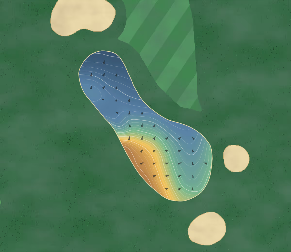 Green contour map of Freedom Fairways in Sun City Center, Florida — 56 elevation contours at a 3-inch interval with fall-line arrows, traced from 1-meter lidar