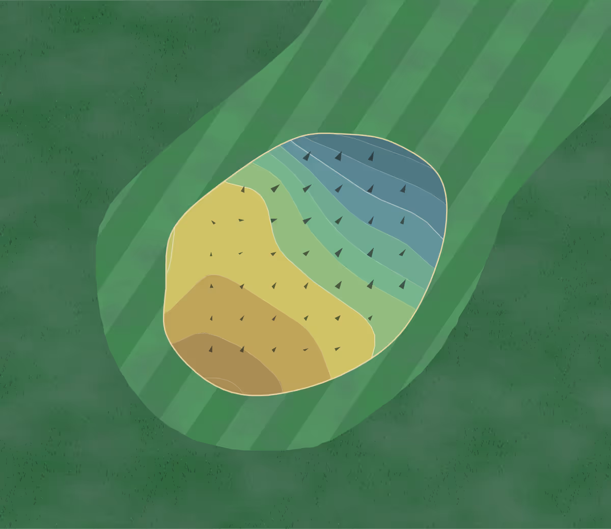 Green contour map of Friendly Valley in Newhall, California — 51 elevation contours at a 3-inch interval with fall-line arrows, traced from 1-meter lidar