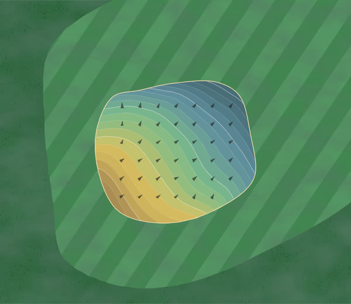 Green contour map of Fullers Fairways in Zanesville, Ohio — 205 elevation contours at a 3-inch interval with fall-line arrows, traced from 1-meter lidar