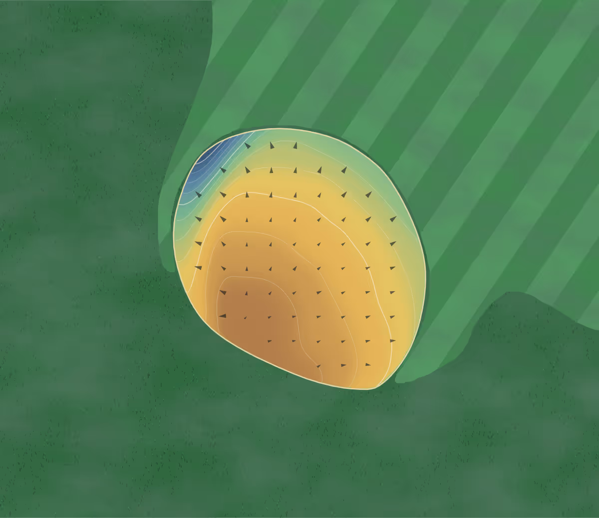 Green contour map of Gabriola in Gabriola Island, Canada: 11 elevation contours at a 8-centimeter interval with fall-line arrows, traced from 1-meter lidar