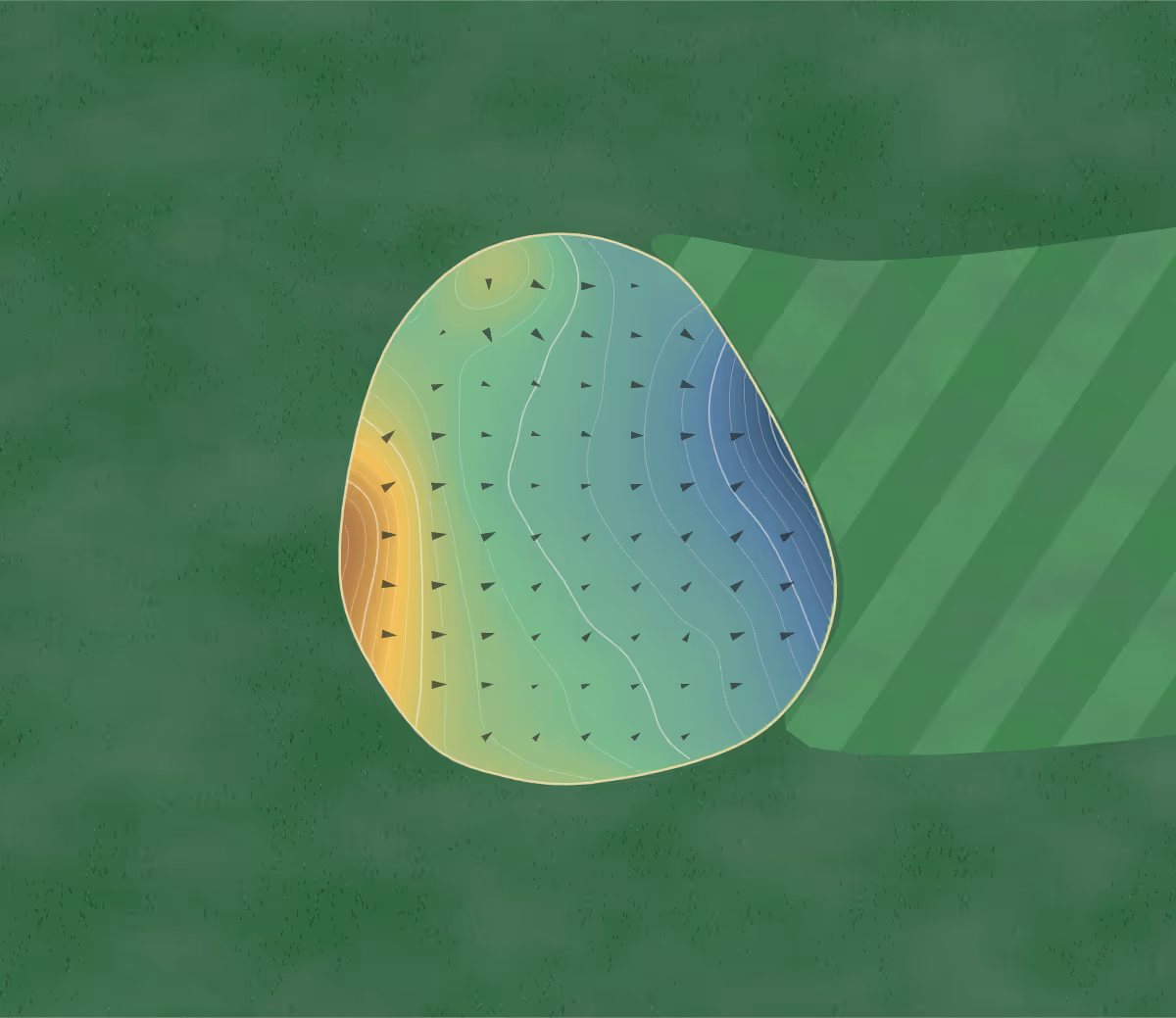 Green contour map of Gauss' Green Valley in Jackson, Michigan: 242 elevation contours at a 3-inch interval with fall-line arrows, traced from 1-meter lidar