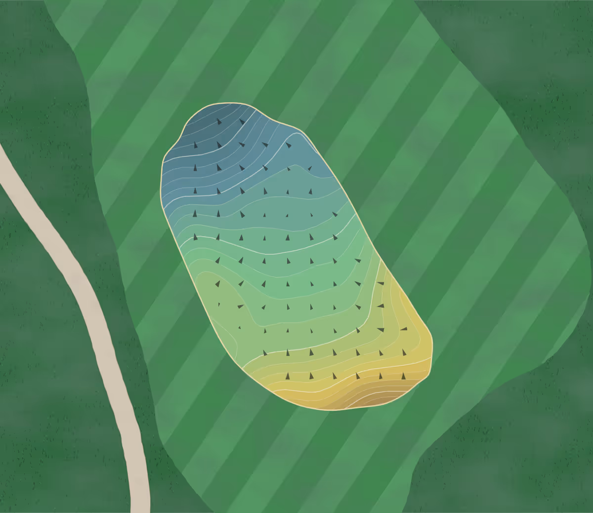 Green contour map of GC Bristol in Bristol, Tennessee — 274 elevation contours at a 3-inch interval with fall-line arrows, traced from 1-meter lidar