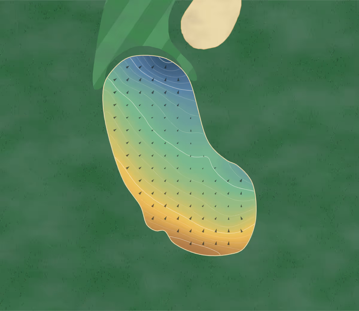 Green contour map of Georgia Club in Statham, Georgia: 243 elevation contours at a 3-inch interval with fall-line arrows, traced from 1-meter lidar