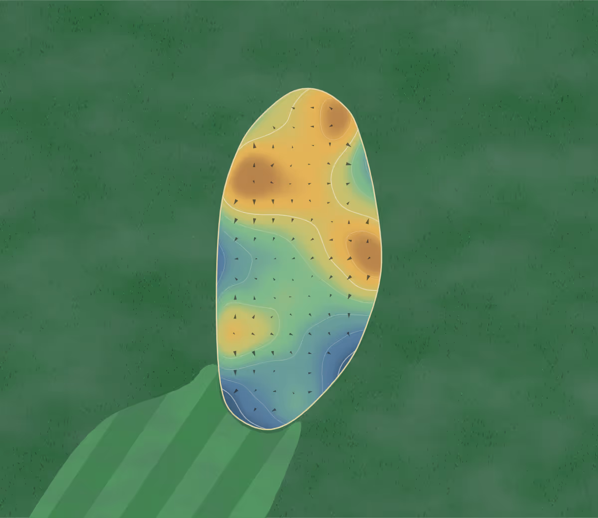 Green contour map of Glenmary in La Grange, Kentucky: 166 elevation contours at a 3-inch interval with fall-line arrows, traced from 1-meter lidar