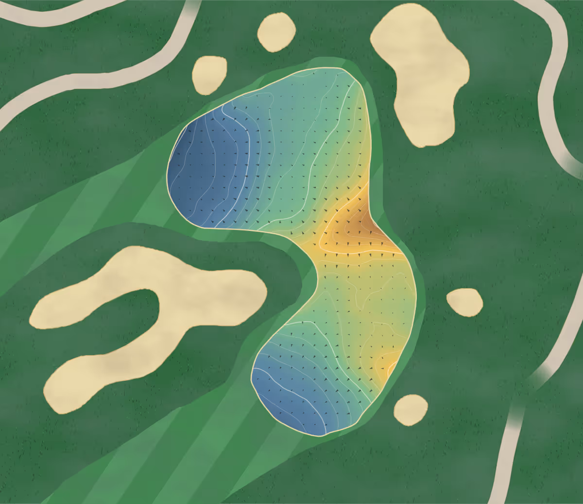 Green contour map of Golden Eagle in Maple Ridge, Canada: 183 elevation contours at a 8-centimeter interval with fall-line arrows, traced from 1-meter lidar