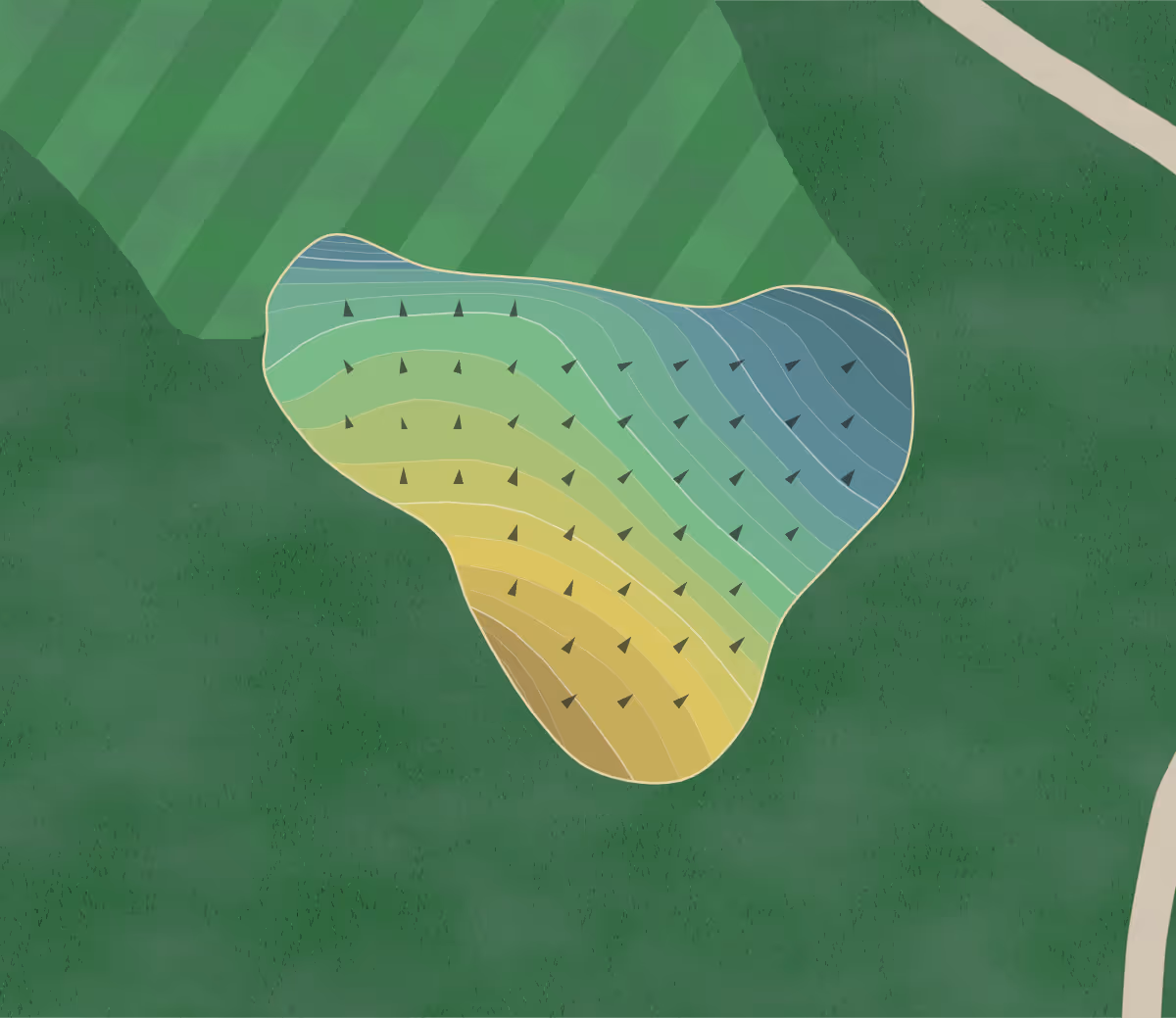 Green contour map of Golden Hills in Lexington, South Carolina — 260 elevation contours at a 3-inch interval with fall-line arrows, traced from 1-meter lidar
